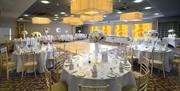 BALKAN SUITE WEDDING