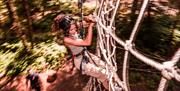 Go Ape Chelmsford Essex