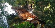 Rowing Boats on River Stour at Dedham