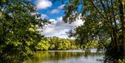 Lake at Weald Country Park