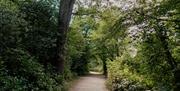 Danbury country park trail