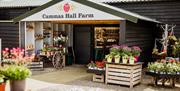 Entrance to Cammas Hall Farm Shop