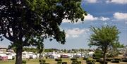 Touring pitches at Waldegraves Holiday Park, Mersea Island, Essex