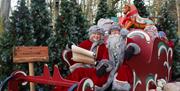 Father Christmas and Mother Christmas sitting in a festive red sleigh surrounded by decorated Christmas trees at Audley End Enchanted Railway in Essex