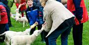 bottle feeding the lambs