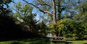 Danbury Park seating area