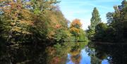 Danbury Park lake