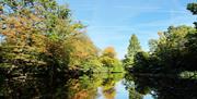 Danbury Country Park