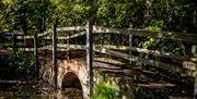 Bridge at Weald Country Park