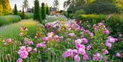 RHS Garden Hyde Hall