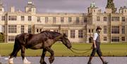 Audley End House and Gardens