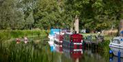 Kayaking along the Chelmer and Blackwater Navigation