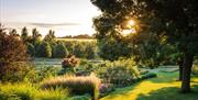 The setting sun setting through the trees illuminating the flower beds