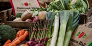 Fresh Vegetables Cammas Hall Farm Shop