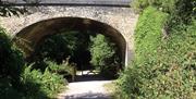 Flitch Bridge Essex