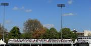 Essex County Cricket