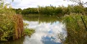 Great Notley Country Park