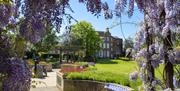 Hollytrees Museum with Wisteria