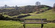 Hadleigh Country Park