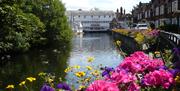 Halstead Mill and the River Colne