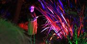This Christmas walk our magical Glow trail at Hyde Hall