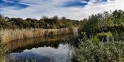 Fingringhoe Wick Nature Discovery Park