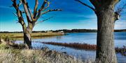 Fingringhoe Wick Nature Discovery Park