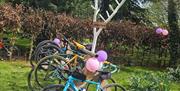 Bike rack with colourful road bikes and a quirky tree-shaped helmet rack at Galloping Grind.