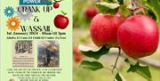 Wassail poster with apples
