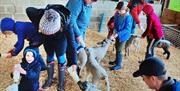 Lamb Season at Layer Marney Tower