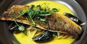 Stoke by Nayland Hotel Restaurant