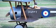 Large Model Air Show aircraft