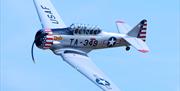 Large Model Air Show aircraft