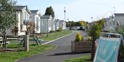 Mersea Island Holiday Park
