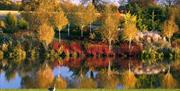 Marks Hall in Autumn