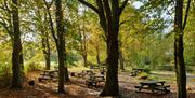 Hanningfield Nature discovery Park