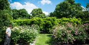 A gardener tending to the floral displays in the gardens, by Tom McGahan