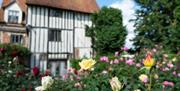 Flowers in bloom alongside the main house.