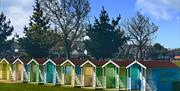 Maldon Beach huts in Promenade Park