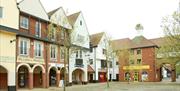 South Woodham Ferrers Town Square with shops and trees in the foreground.