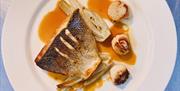 Local Pan-Fried Wild Bass