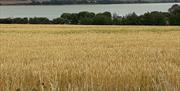 Stour Estuary