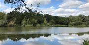 Old Hall Pond, Thorndon Country Park