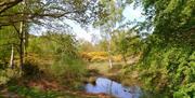 Galleywood Common