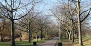 Admirals Park, Chelmsford