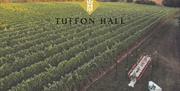 Tuffon Hall