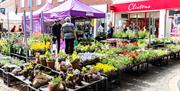 Chelmsford High Street