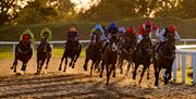 Horses racing in golden hour at Chelmsford City Racecourse