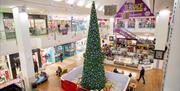 The Harvey Centre at Christmas