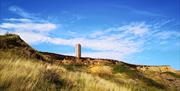 The Naze